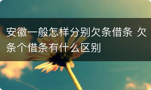 安徽一般怎样分别欠条借条 欠条个借条有什么区别