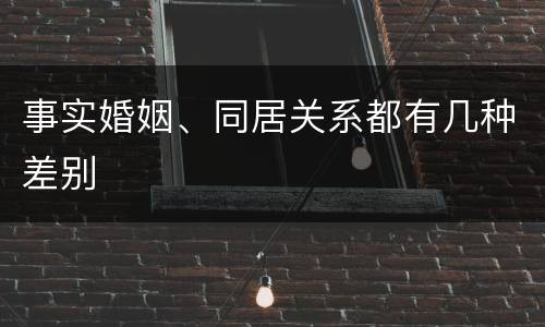 事实婚姻、同居关系都有几种差别