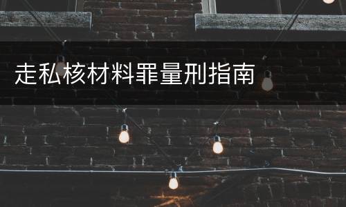 走私核材料罪量刑指南