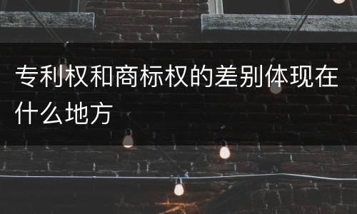 专利权和商标权的差别体现在什么地方