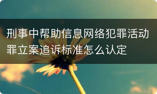 刑事中帮助信息网络犯罪活动罪立案追诉标准怎么认定