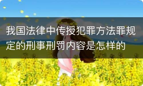 我国法律中传授犯罪方法罪规定的刑事刑罚内容是怎样的