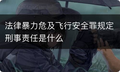 法律暴力危及飞行安全罪规定刑事责任是什么