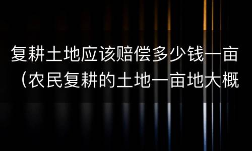 复耕土地应该赔偿多少钱一亩（农民复耕的土地一亩地大概是多少钱）