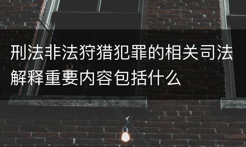刑法非法狩猎犯罪的相关司法解释重要内容包括什么
