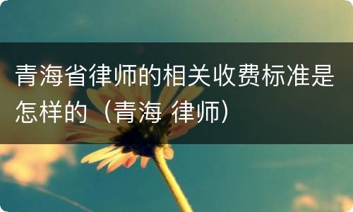青海省律师的相关收费标准是怎样的（青海 律师）