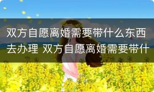 双方自愿离婚需要带什么东西去办理 双方自愿离婚需要带什么证件