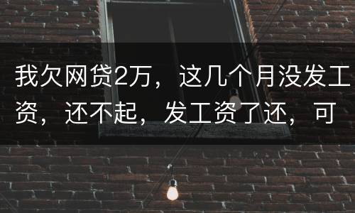 我欠网贷2万，这几个月没发工资，还不起，发工资了还，可以吗