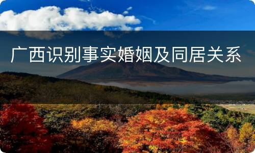 广西识别事实婚姻及同居关系