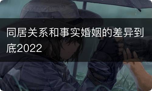 同居关系和事实婚姻的差异到底2022