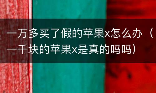 一万多买了假的苹果x怎么办（一千块的苹果x是真的吗吗）