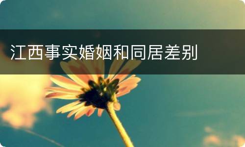 江西事实婚姻和同居差别