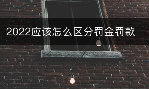 2022应该怎么区分罚金罚款