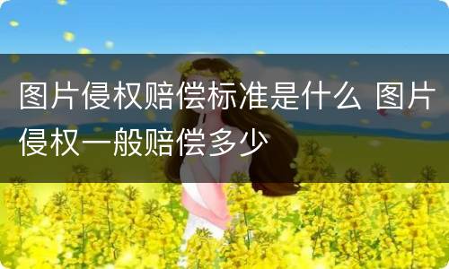 图片侵权赔偿标准是什么 图片侵权一般赔偿多少