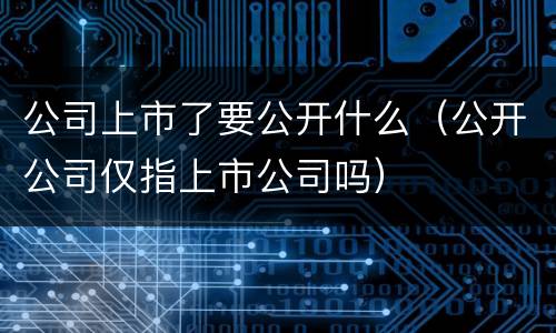 公司上市了要公开什么（公开公司仅指上市公司吗）