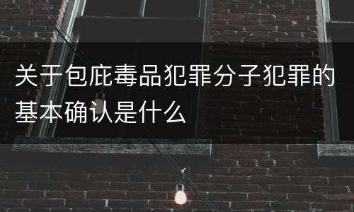 关于包庇毒品犯罪分子犯罪的基本确认是什么
