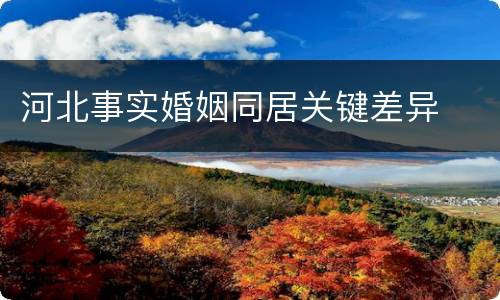 河北事实婚姻同居关键差异