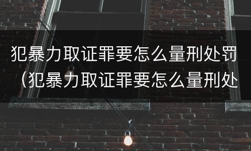 犯暴力取证罪要怎么量刑处罚（犯暴力取证罪要怎么量刑处罚的）