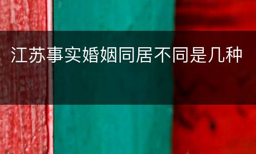 江苏事实婚姻同居不同是几种