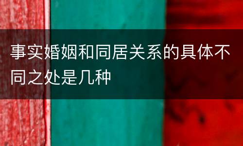 事实婚姻和同居关系的具体不同之处是几种