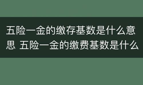 五险一金的缴存基数是什么意思 五险一金的缴费基数是什么意思,该怎么算