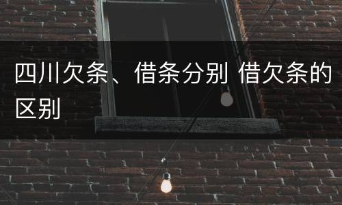 四川欠条、借条分别 借欠条的区别