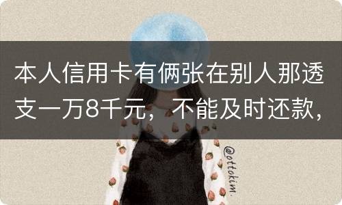 本人信用卡有俩张在别人那透支一万8千元，不能及时还款，能起诉吗