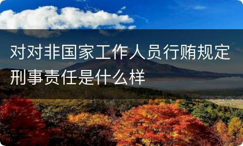 对对非国家工作人员行贿规定刑事责任是什么样