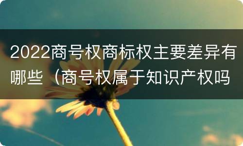 2022商号权商标权主要差异有哪些（商号权属于知识产权吗）