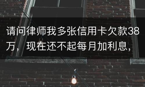 请问律师我多张信用卡欠款38万，现在还不起每月加利息，我怎么可以协商还银行