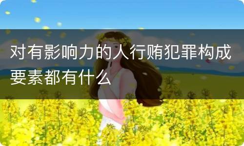 对有影响力的人行贿犯罪构成要素都有什么