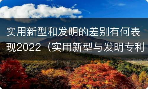 实用新型和发明的差别有何表现2022（实用新型与发明专利的区别有哪些）