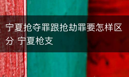 宁夏抢夺罪跟抢劫罪要怎样区分 宁夏枪支