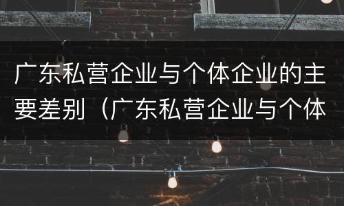 广东私营企业与个体企业的主要差别（广东私营企业与个体企业的主要差别在哪里）
