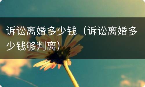 诉讼离婚多少钱（诉讼离婚多少钱够判离）