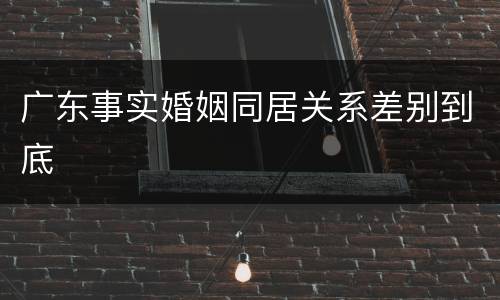 广东事实婚姻同居关系差别到底