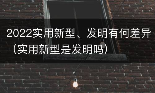 2022实用新型、发明有何差异（实用新型是发明吗）