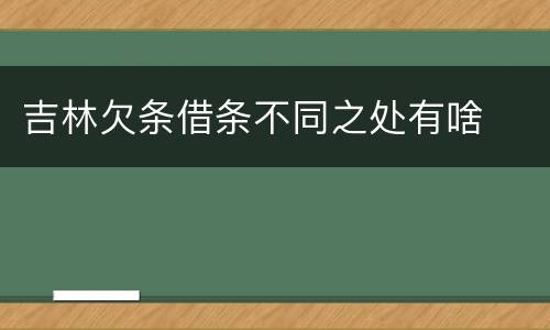 吉林欠条借条不同之处有啥