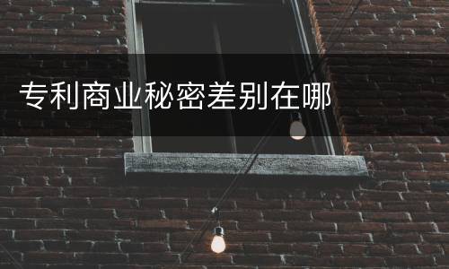 专利商业秘密差别在哪