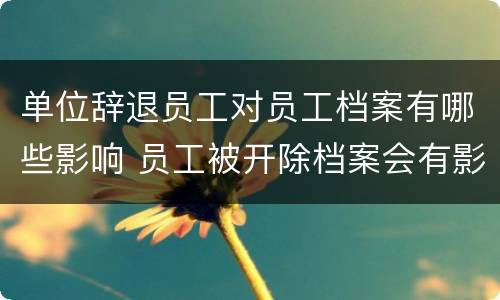 单位辞退员工对员工档案有哪些影响 员工被开除档案会有影响么