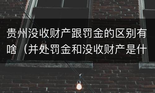 贵州没收财产跟罚金的区别有啥（并处罚金和没收财产是什么意思）