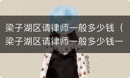 梁子湖区请律师一般多少钱（梁子湖区请律师一般多少钱一次）