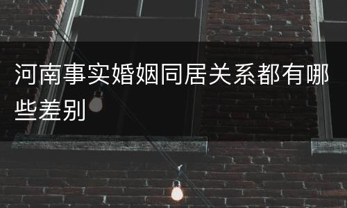 河南事实婚姻同居关系都有哪些差别