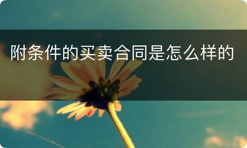 附条件的买卖合同是怎么样的