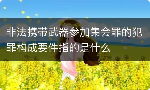 非法携带武器参加集会罪的犯罪构成要件指的是什么