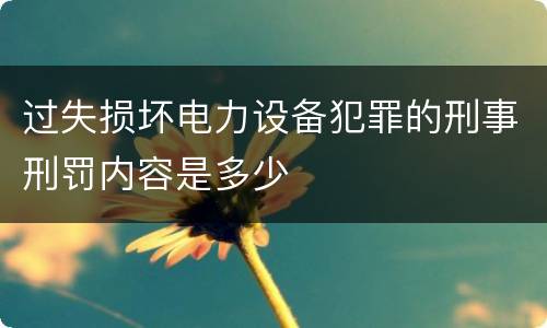 过失损坏电力设备犯罪的刑事刑罚内容是多少