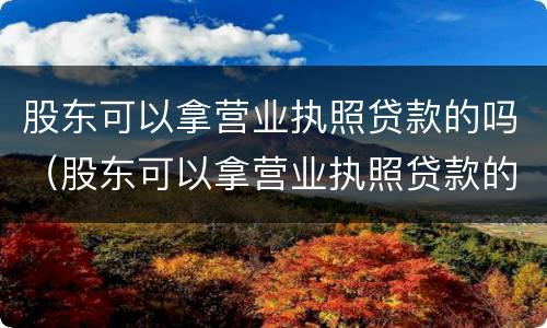股东可以拿营业执照贷款的吗（股东可以拿营业执照贷款的吗知乎）