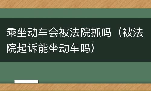 乘坐动车会被法院抓吗（被法院起诉能坐动车吗）