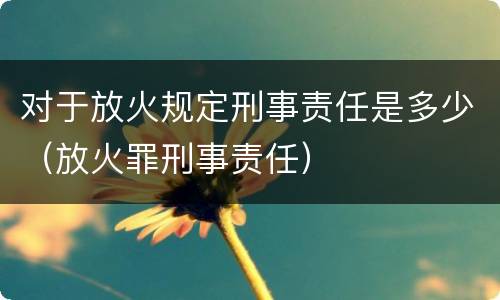对于放火规定刑事责任是多少（放火罪刑事责任）