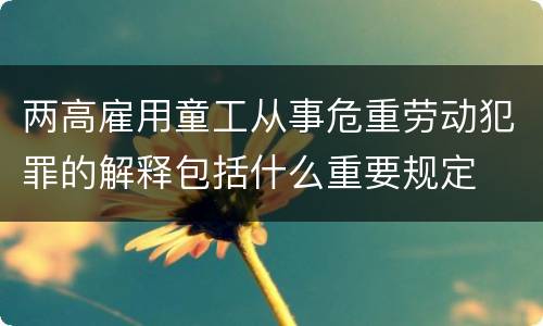 两高雇用童工从事危重劳动犯罪的解释包括什么重要规定